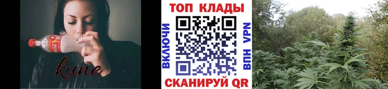 Купить наркоту Хасавюрт Галлюциногенные грибы  Cocaine  Гашиш  кракен ссылки  Альфа ПВП  Конопля 