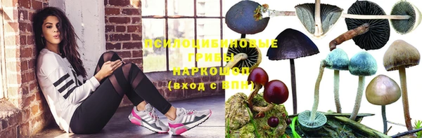 МДПВ Фурманов