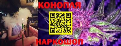 индика Кунгур