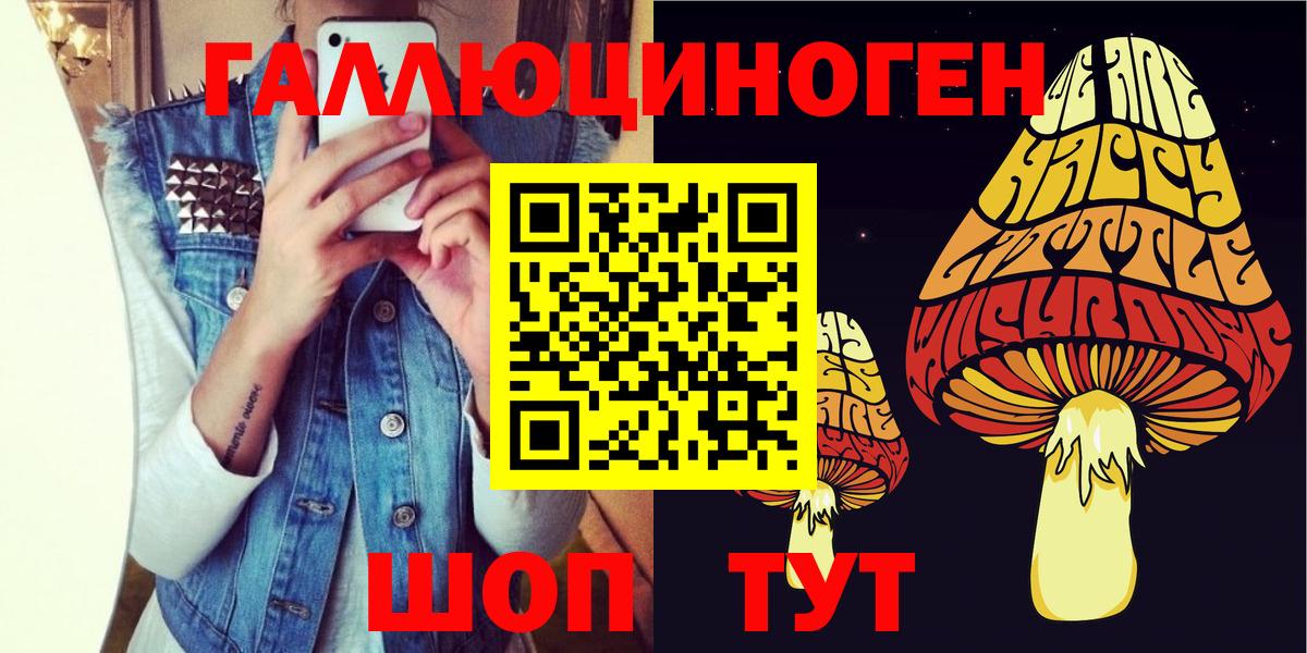 ГАШИШ  MDMA  Мефедрон кристаллы  Кокаин  Хасавюрт  Вход с VPN  Канабис  А ПВП СК  