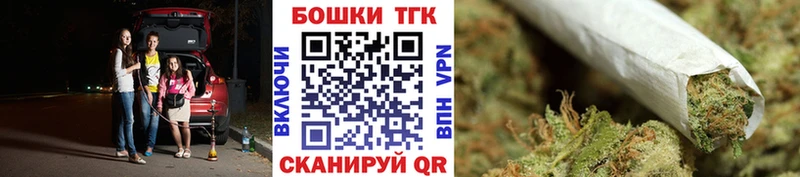 Конопля OG Kush купить цена Хасавюрт